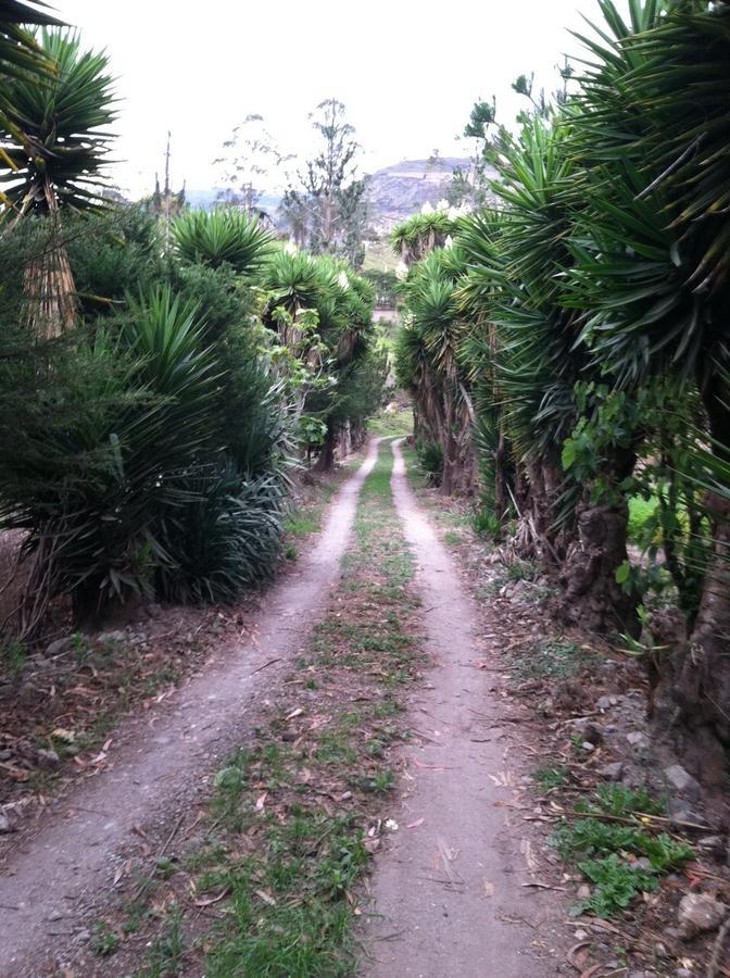 Killa Wasi Hostel Alausi Bagian luar foto
